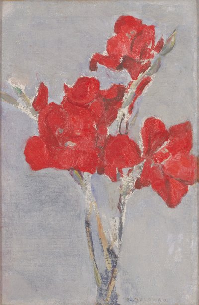 Rote Gladiolen, um 1906 von Piet Mondrian